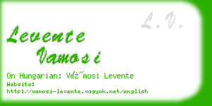 levente vamosi business card